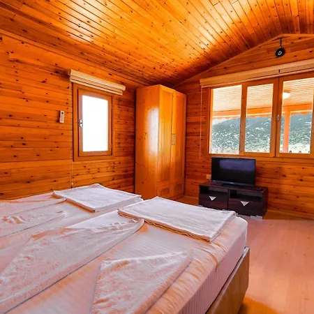 Отель Mojo Sunset Boutique 5*