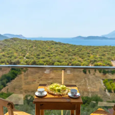 Hotel Mojo Sunset Boutique 5*