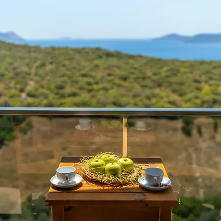 Mojo Sunset Boutique