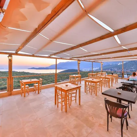 Mojo Sunset Boutique